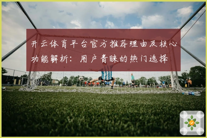 开云体育平台官方推荐理由及核心功能解析：用户青睐的热门选择