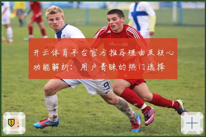 开云体育平台官方推荐理由及核心功能解析：用户青睐的热门选择