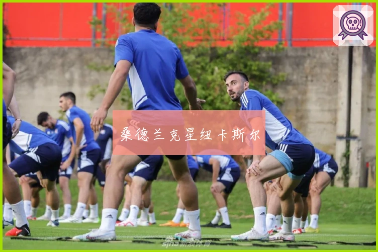 桑德兰克星纽卡斯尔