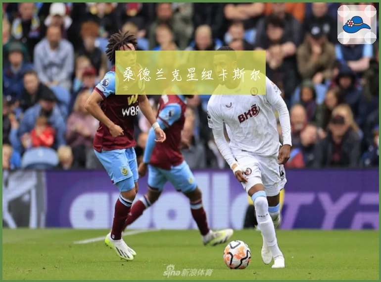 桑德兰克星纽卡斯尔