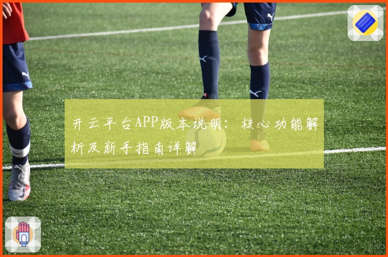 开云平台APP版本说明：核心功能解析及新手指南详解