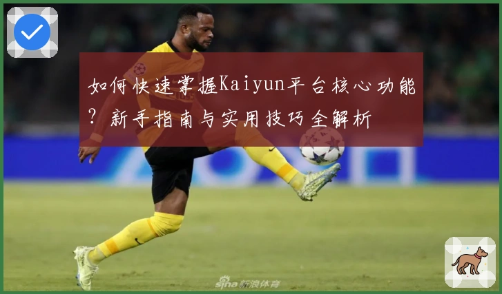 如何快速掌握Kaiyun平台核心功能？新手指南与实用技巧全解析